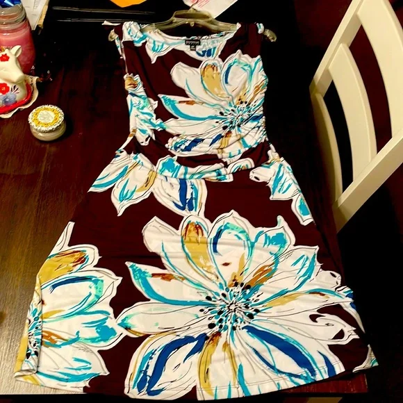 En Focus women’s size 10 petite dress - Picture 1 of 11